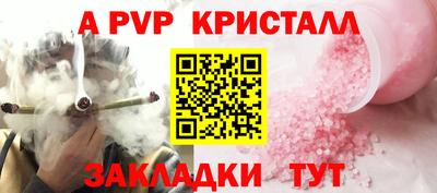 амф Гусев