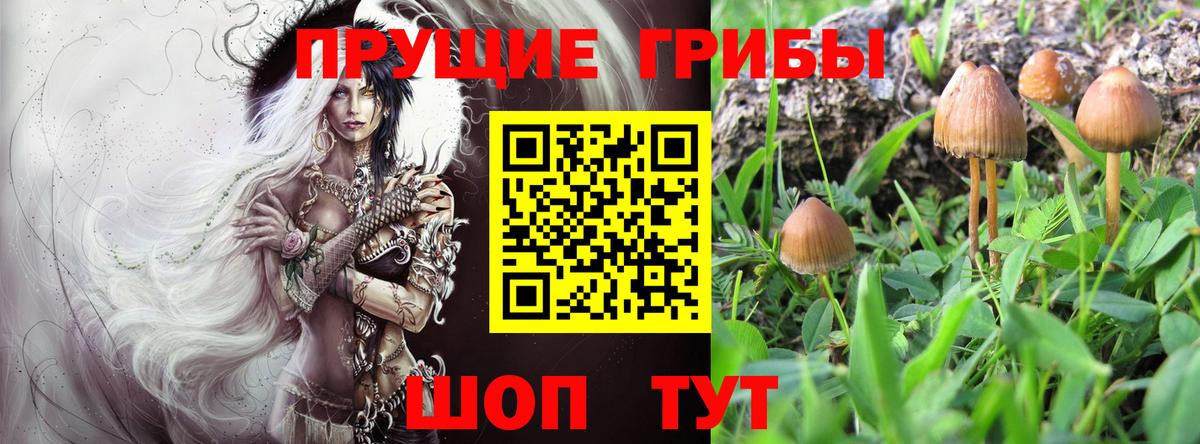 Псилоцибиновые грибы GOLDEN TEACHER  Псилоцибиновые грибы ЛСД  Шали  Вход с VPN 